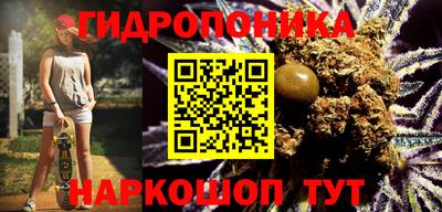тгк Кохма