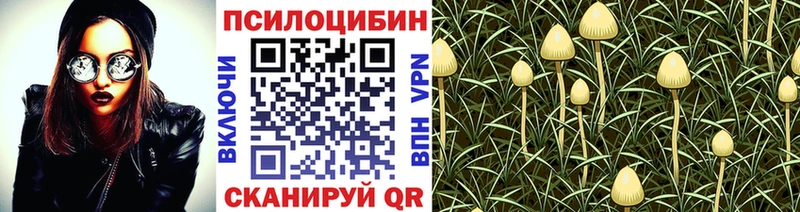 KRAKEN рабочий сайт  Заречный  Галлюциногенные грибы Psilocybine cubensis 