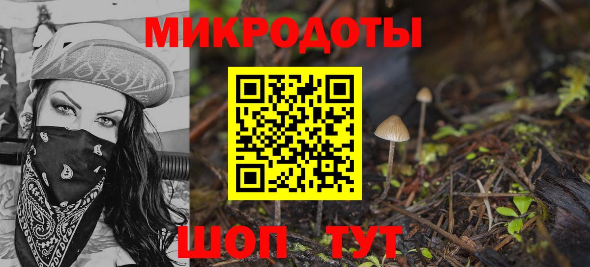 Заречный  Галлюциногенные грибы мицелий  купить наркотик  Вход с VPN  Псилоцибиновые грибы Cubensis 